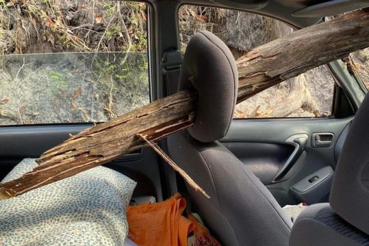 졸업 여행을 떠난 학생들이 탄 차량을 덮친 나무.[사진 제공 = 호주 ABC 방송 캡처]