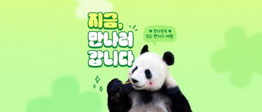 하나투어 성도 여행 상품 / 사진=하나투어