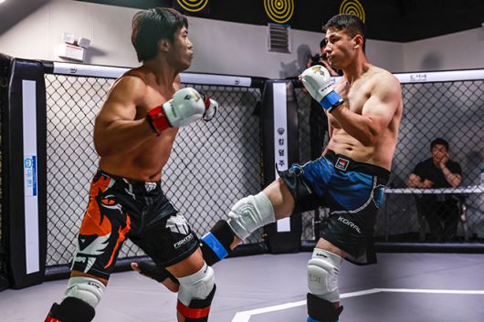 뽀빠이연합의원KMMA20 국제전 모습. 사진=스탠다드앤드프로그레스 스포츠에이전시 제공