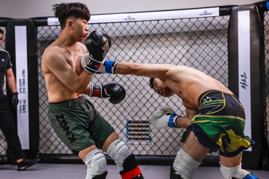 뽀빠이연합의원KMMA20 국제전 모습. 사진=스탠다드앤드프로그레스 스포츠에이전시 제공