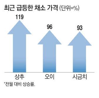 매일경제