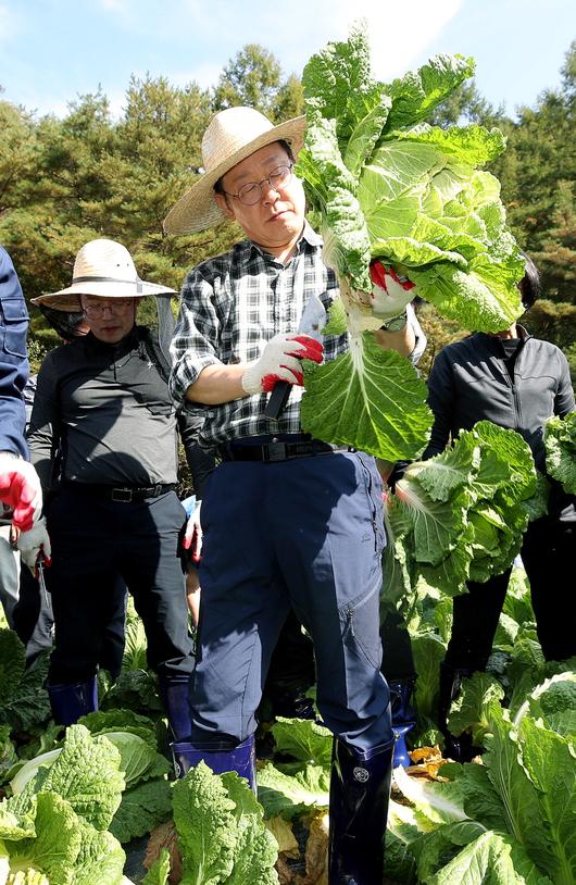 매일경제