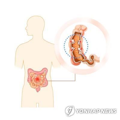 매일경제