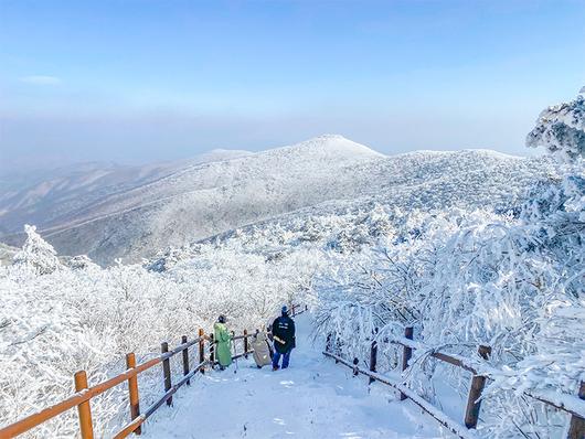 매일경제