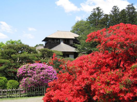 일본 3대 정원의 하나 가이라쿠엔 정원.