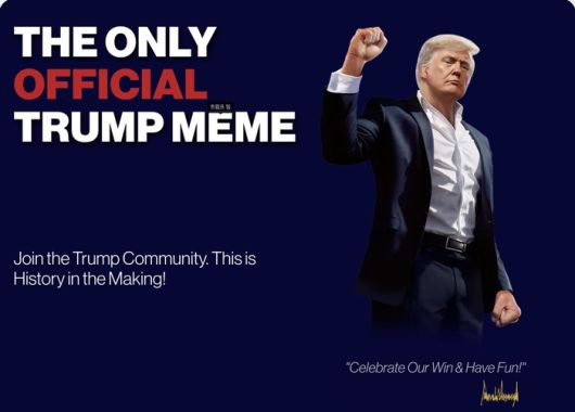 오피셜 트럼프 밈 코인 홈페이지 < 출처 : gettrumpmemes.com >