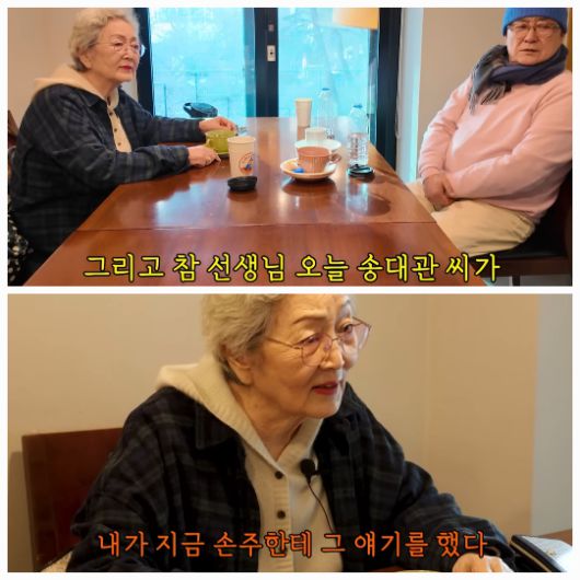 노주현은 반려견과 함께 동물병원을 방문하는 일상을 공유하며, 원로 배우 김영옥을 만나 깊이 있는 대화를 나눴다.사진=유튜브 채널 ‘노주현 TV’