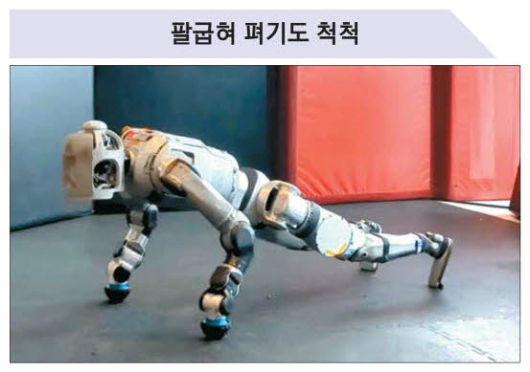 매일경제