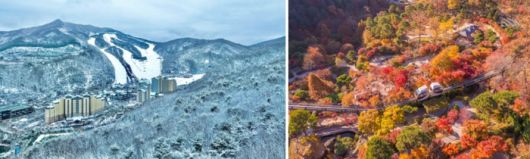 사진 = 곤지암리조트