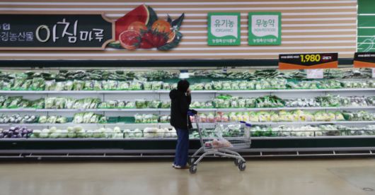 생활물가가 좀처럼 떨어지지 않는 가운데 서울의 한 대형 마트에서 한 시민이 장을 보고 있다. [이충우 기자]