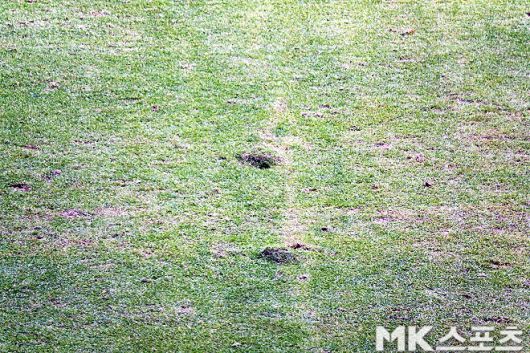 3월 3일 FC 서울과 김천상무의 맞대결이 열린 서울월드컵경기장 잔디 상태. 사진=이근승 기자