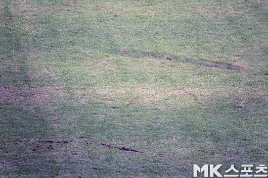 3월 3일 FC 서울, 김천상무 선수들은 이런 잔디에서 프로축구 경기를 했다. 2만 4천 889명의 관중은 푯값을 지불하고 이런 잔디에서 치러지는 프로축구 경기를 봤다. 사진=이근승 기자