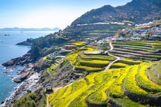 ​남해 다랭이마을 / 사진 = 경상남도