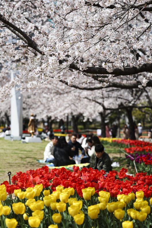 김해 연지공원 / 사진 = 경상남도