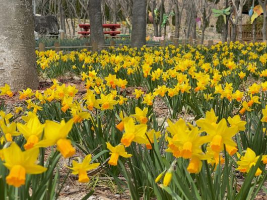 진주 월아산 숲속의 진주 / 사진 = 경상남도