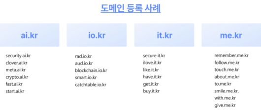 KISA가 지난 30일 등록된 신규 도메인을 공개했다. [사진 = KISA]
