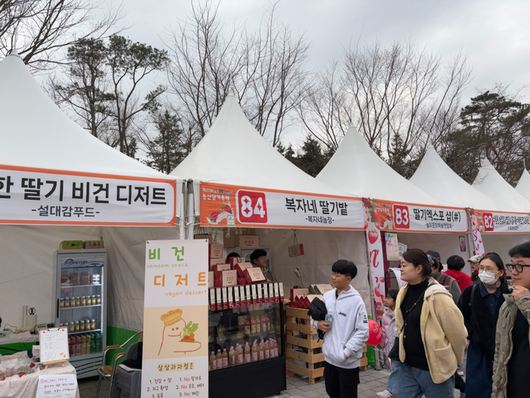 논산 딸기축제 부스 [문서연 여행+ 기자]