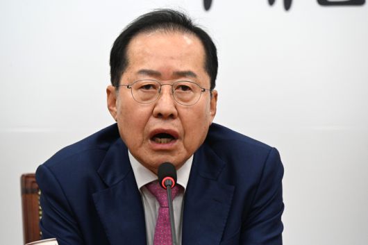 홍준표 전 대구시장이 14일 국회에서 권영세 국민의힘 비상대책위원장과의 면담 시간에 발언하고 있다. [사진 = 연합뉴스]