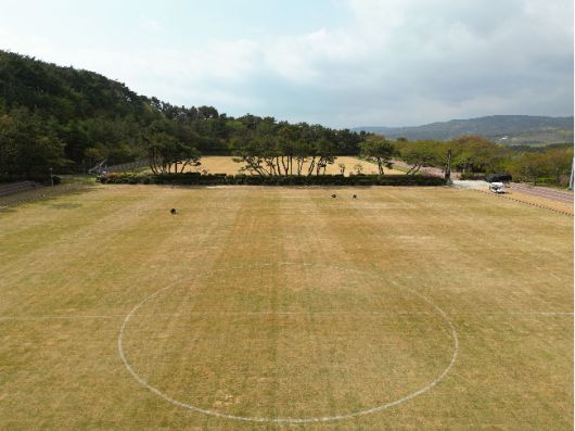 난지형 잔디가 도입된 울산HD의 훈련장 강동 축구장. 사진=울산HD
