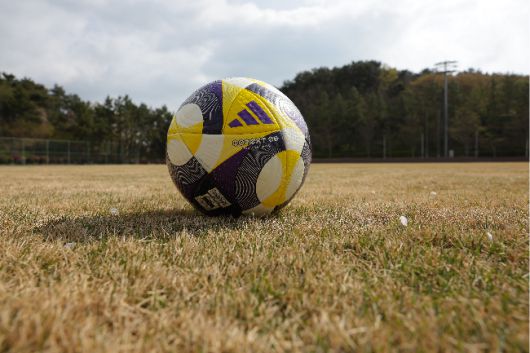 난지형 잔디가 도입된 울산HD의 훈련장 강동 축구장. 사진=울산HD