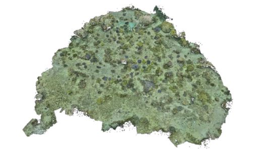 삼성전자 해양 생태계 복원 프로젝트 ‘코랄 인 포커스(Coral in Focus)’의 3D 산호초 복원도