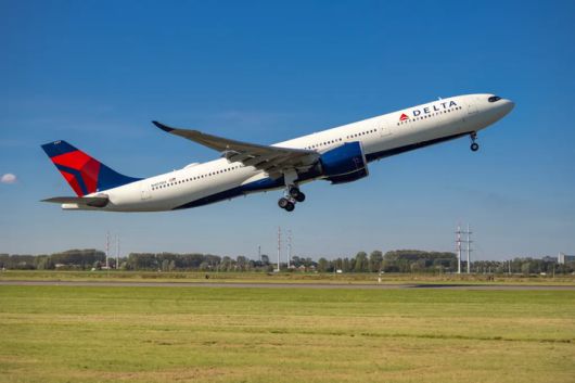 델타 항공 여객기. [사진 = 뉴욕포스트]