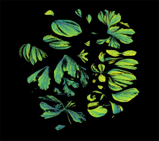 SES AI가 개발한 ‘분자 우주 0’ 플랫폼에서 소분자들을 시각화한 분자 지도 [출처 = SES AI]