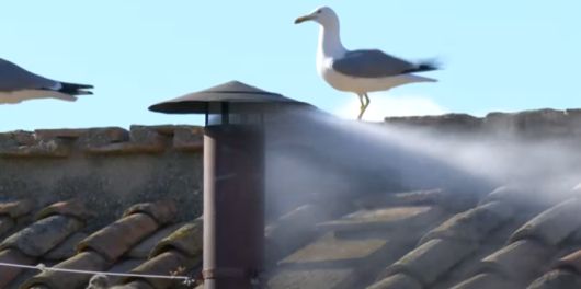 [사진 출처 = 유튜브 캡처]