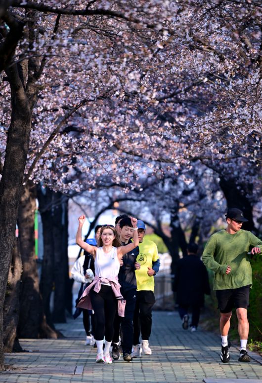 러너스테이션의 모닝커피런. 서울시