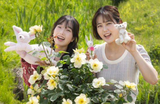 에버로즈 앞에서 사막여우 기획상품을 들고있는 모습 / 사진=삼성물산