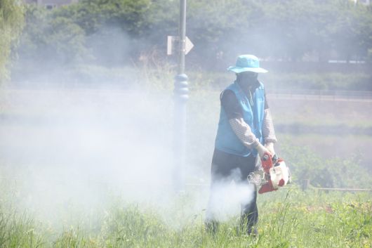 지난 21일 대구 동구 동촌유원지에서 동구보건소 방역반원들이 모기를 비롯한 병해충 방역작업을 하고 있다. [연합뉴스]