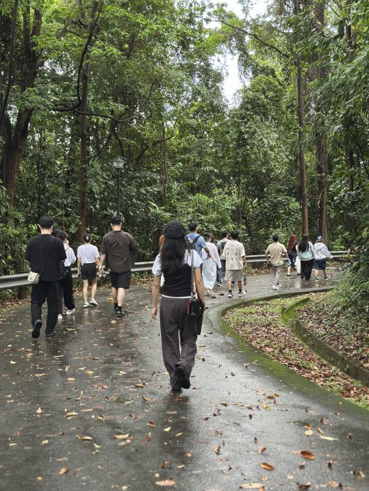 길을 걷고 있는 참여자들 / 사진=권효정 여행 + 기자