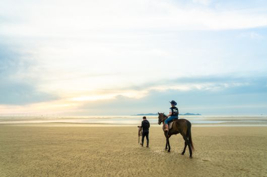 휘게팜 고창해변승마클럽에서 운영 중인 명사십리 해변 승마 체험 / 사진=한국관광공사