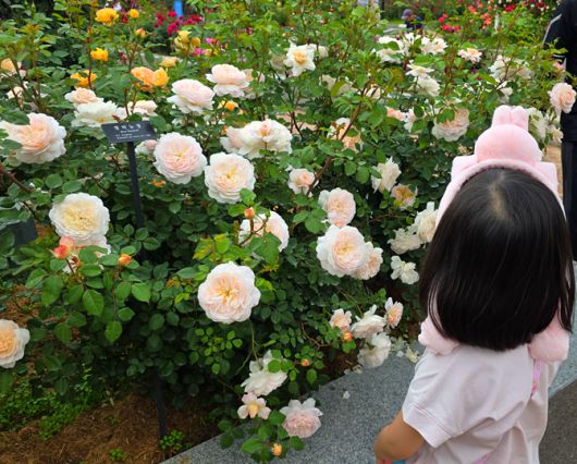 에버랜드 로로티를 즐기고 있는 아기의 모습 / 사진=김혜성 여행+ 기자