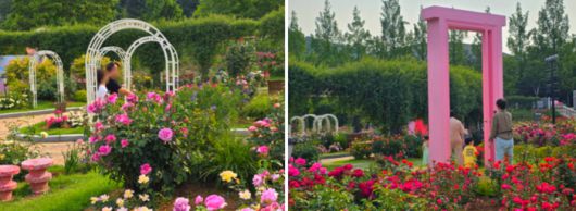 에버랜드 로로티 현장 사진 / 사진=김혜성 여행+ 기자