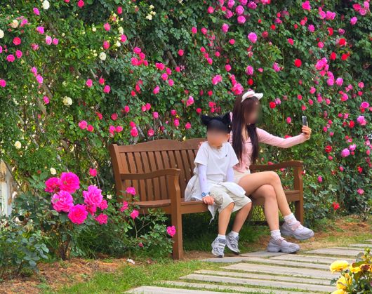 에버랜드 로로티를 즐기고 있는 방문객들의 모습 / 사진=김혜성 여행+ 기자