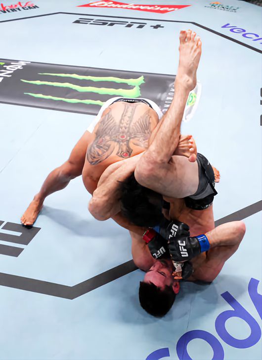제카 사라기가 2024년 6월 미국 네바다주 엔터프라이즈 UFC on ESPN 58 페더급 경기에서 삼각 팔꺾기 기술을 빠져나오지 못하고 있다. 사진=TKO