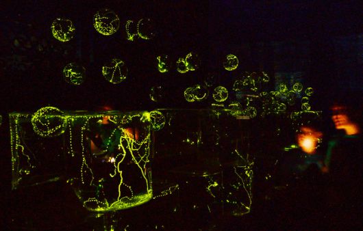 사진 = 충북농업기술원