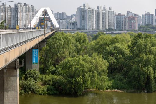 서강대교에서 바라 본 밤섬 / 사진=서울관광재단