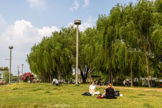 서래섬에서 피크닉을 즐기는 사람들 / 사진=서울관광재단