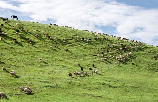 여행이지, 몽골 패키지 이미지 / 사진=교원투어