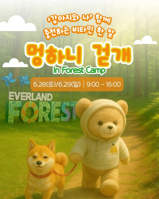 에버랜드 반려견 동반 비타민 캠프 ‘멍하니 걷개’ 홍보 이미지 / 사진=삼성물산