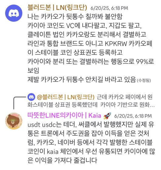 카이아 공식 디스코드에서 홀더들이 나눈 대화. 그동안 카카오가 카이아와 선을 긋는 듯한 행보를 보여왔기 때문에 카카오가 원화 스테이블코인을 발행하더라도 카이아와 관계가 없을 수 있다는 불안감을 느낄 수 있다. <출처: 카이아 공식 디스코드 >