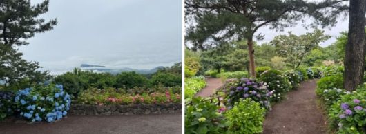 휴애리 자연생활공원 / 사진=홍지연 여행+ 기자