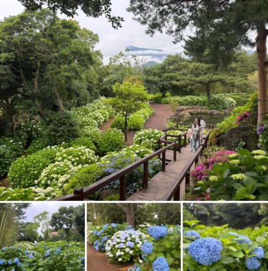 휴애리 자연생활공원 / 사진=홍지연 여행+ 기자