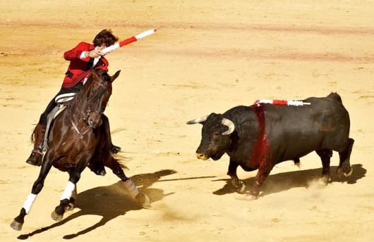 론다 지역 투우장(사진은 기사와 직접적 관련 없음) / 사진=flickr