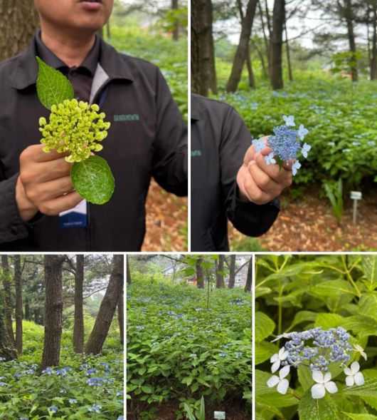 제주 최초 사립수목원 상효원 / 사진=홍지연 여행+ 기자