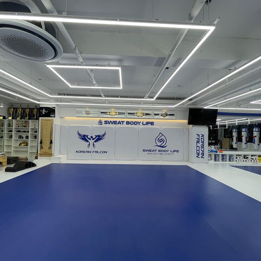 조성빈이 종합격투기선수로 획득한 정규 챔피언 3개 및 잠정 챔피언 1개 벨트가 전시된 ‘스웻바디라이프 코리안팔콘GYM’ 체육관. 사진@koreanfalcon