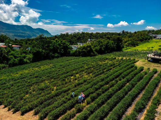 사진= 대만관광청