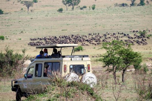 [사진출처 = 롯데홈쇼핑]